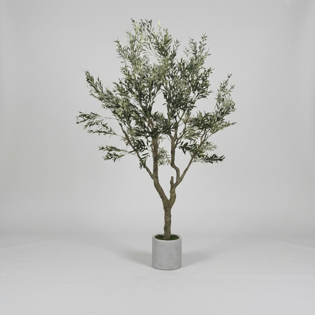 �ø��곪�� (3m)